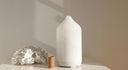 How to Choose the Best Aroma Diffusers for Your Home