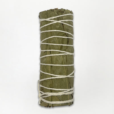 Ritual Røgelsespinder