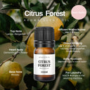 Citrus Forest Aroma Scent Oil