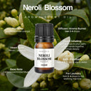 16 Aroma Scent Oils
