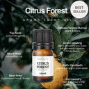 16 Aroma Scent Oils
