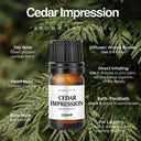 16 Aroma Scent Oils