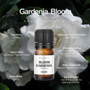16 Aroma Scent Oils