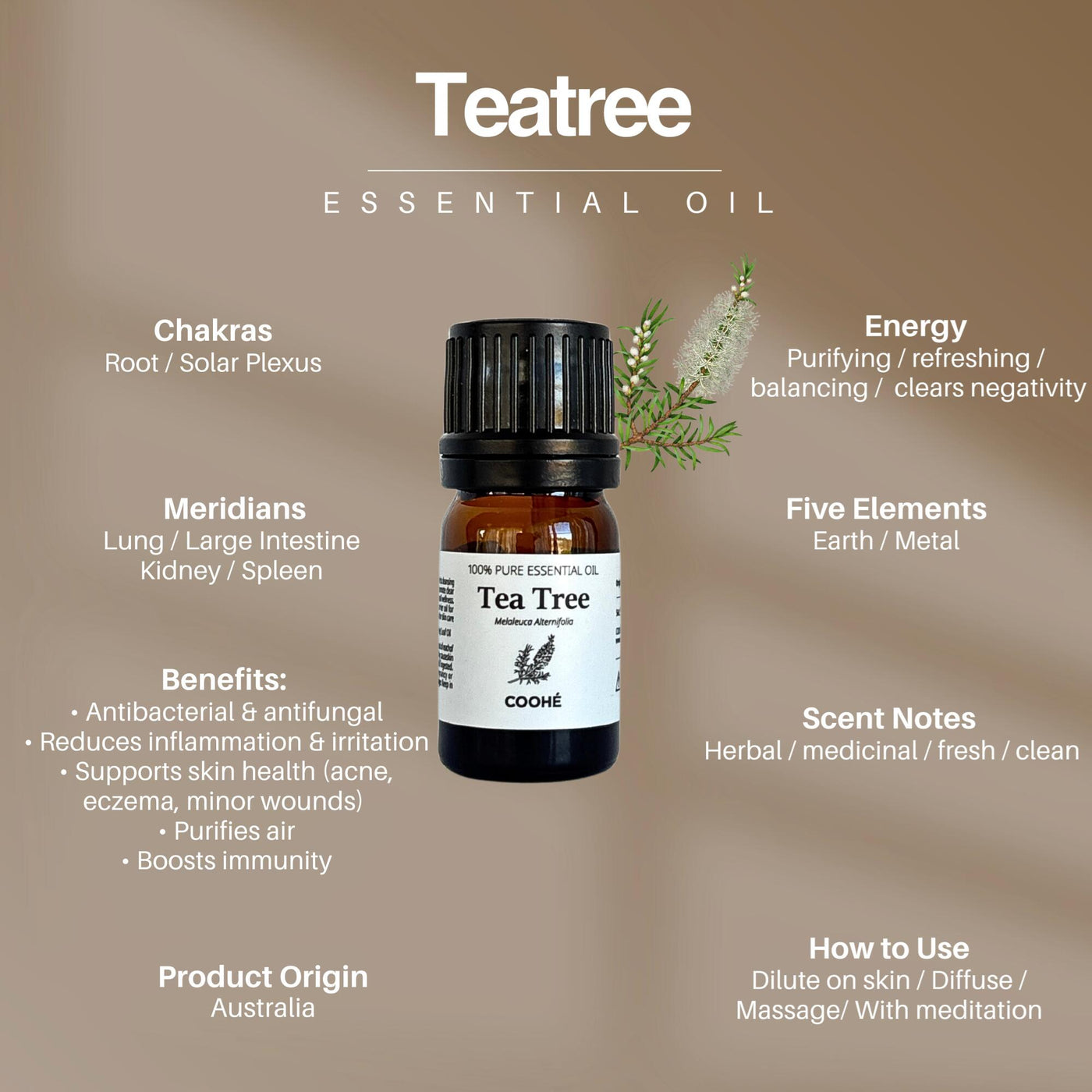 Tea Tree Æterisk Olie