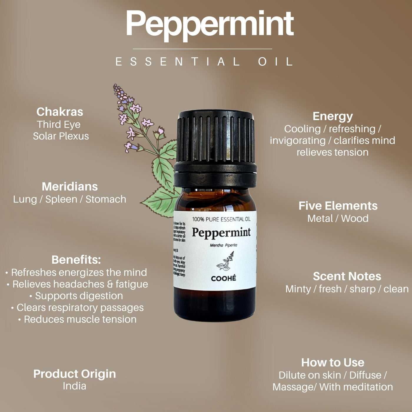 Peppermint Æterisk Olie