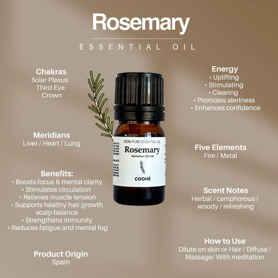 Rosemary Æterisk Olie