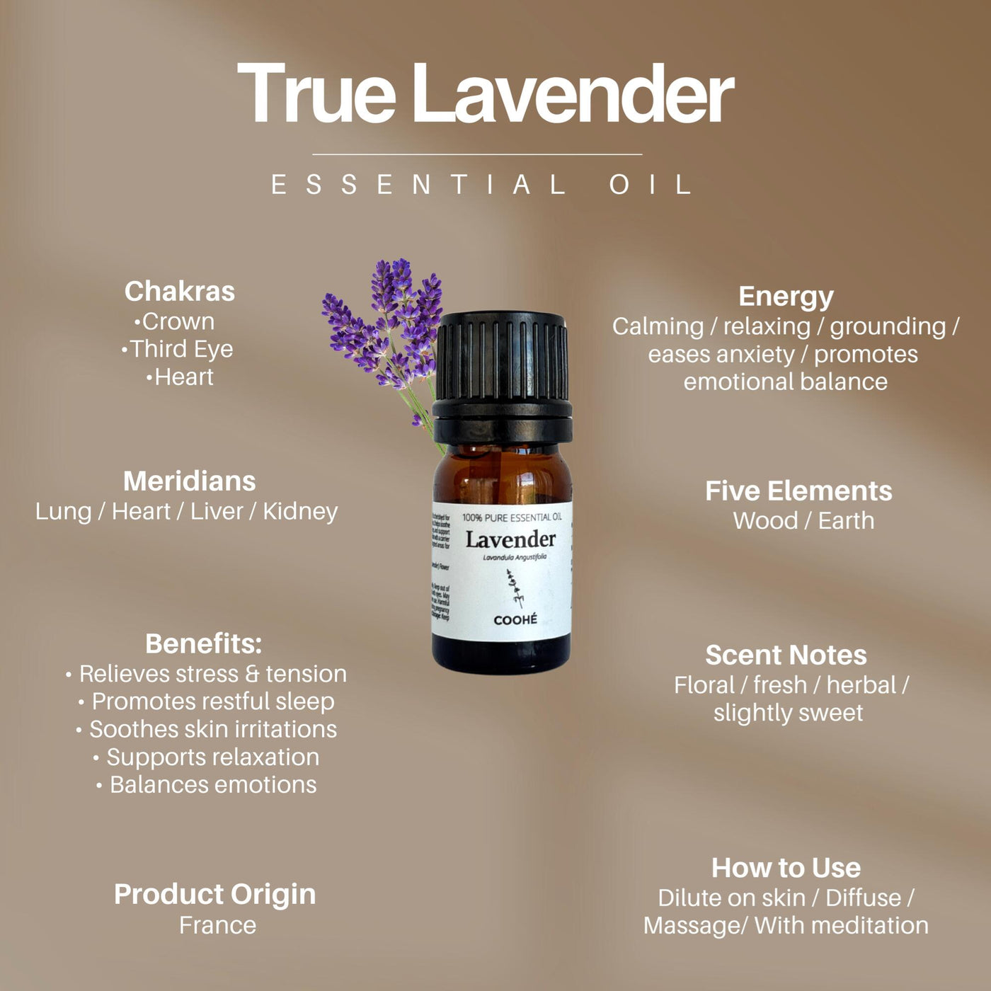 Lavender True Æterisk Olie