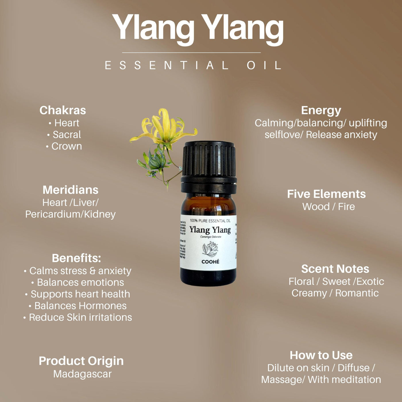 20 Æteriske Olier Serie