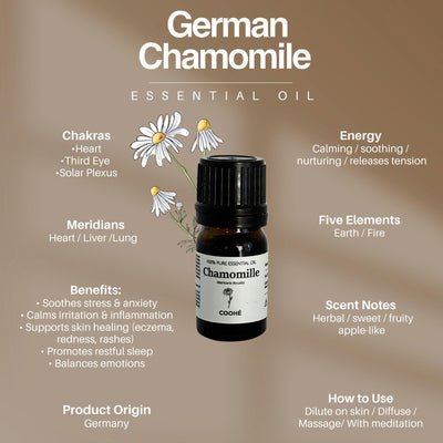 German Chamomile Æterisk Olie