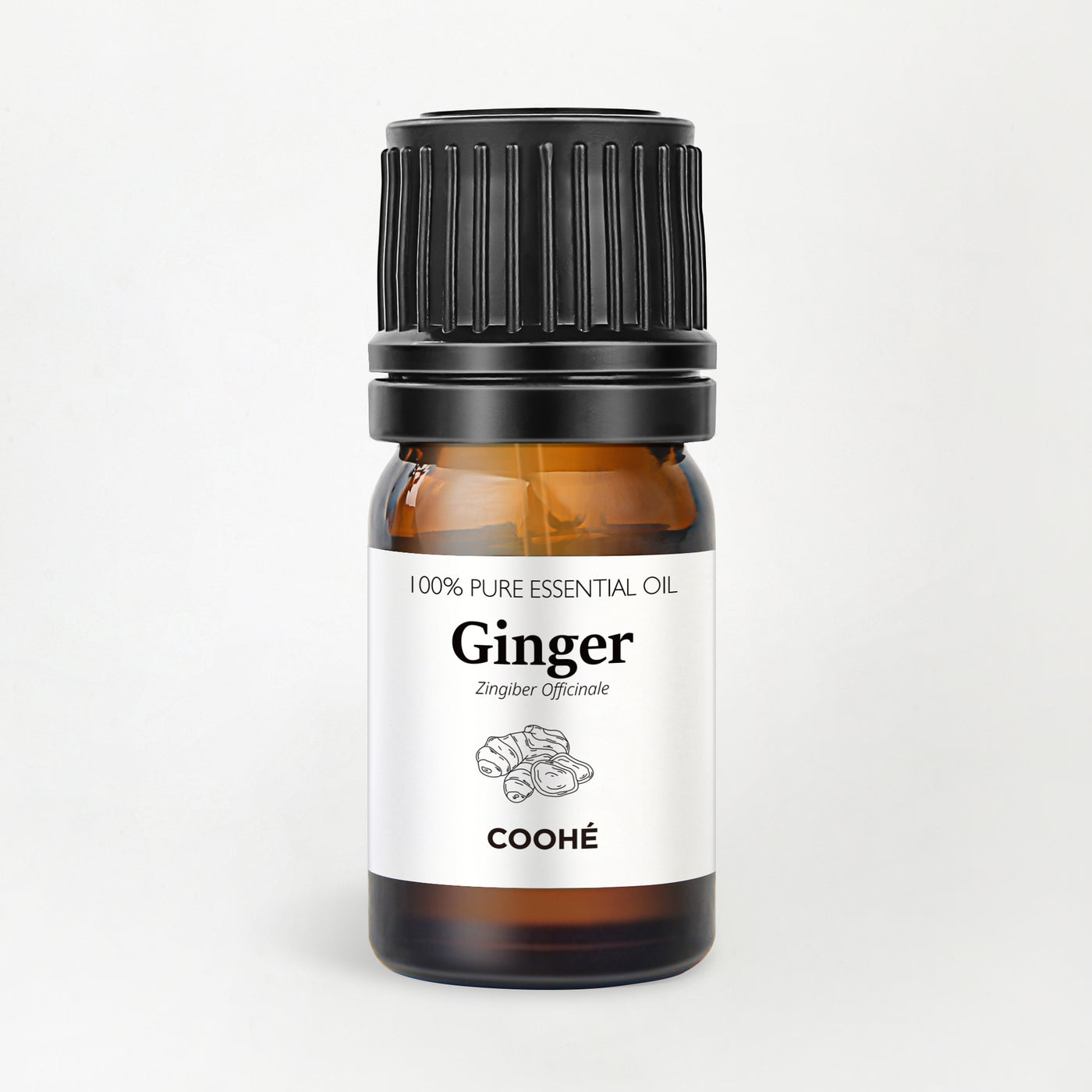 Ginger Æterisk Olie