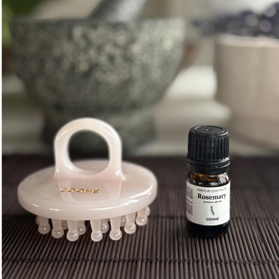 Meridian Massage Brush