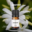 Jasmine Aroma Scent Oil