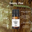 16 Aroma Scent Oils