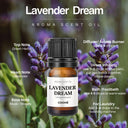 Lavender Dream Aroma Scent Oil