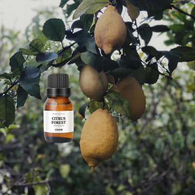 Duftolier 16 Varianter