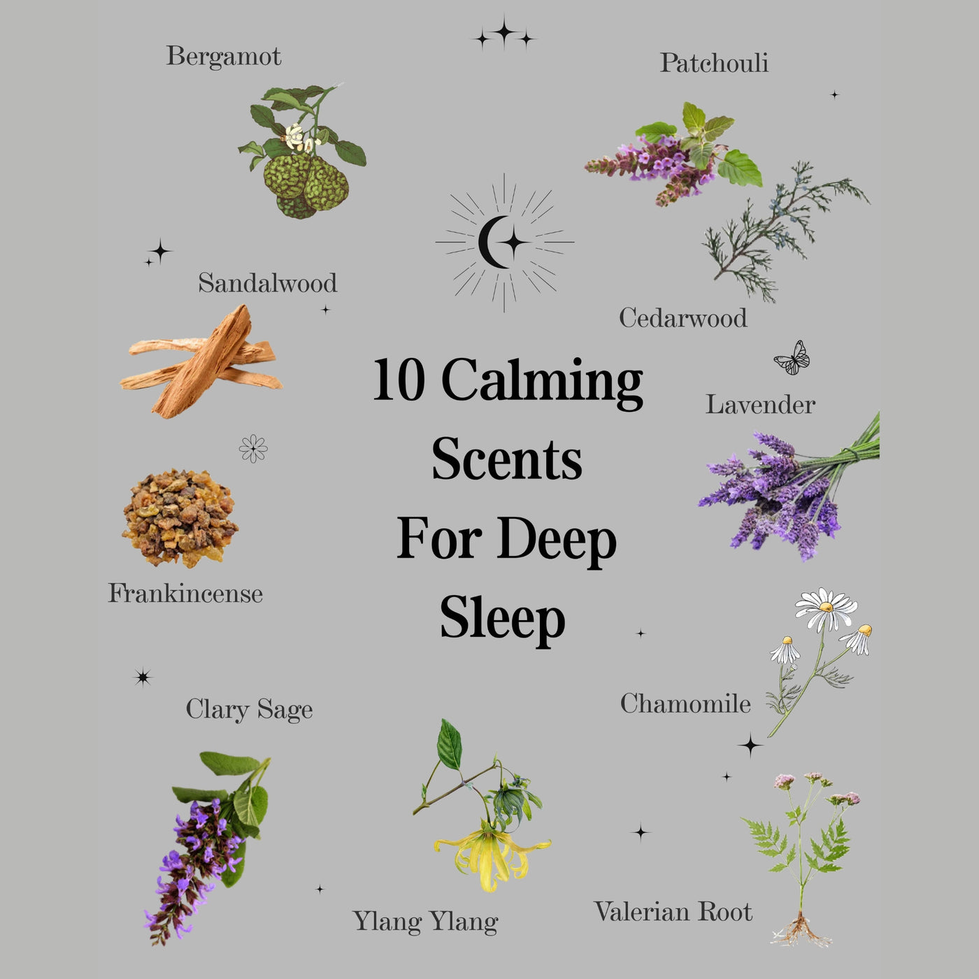 Cedar Impression Duftolie