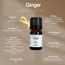 Ginger Essential Oil