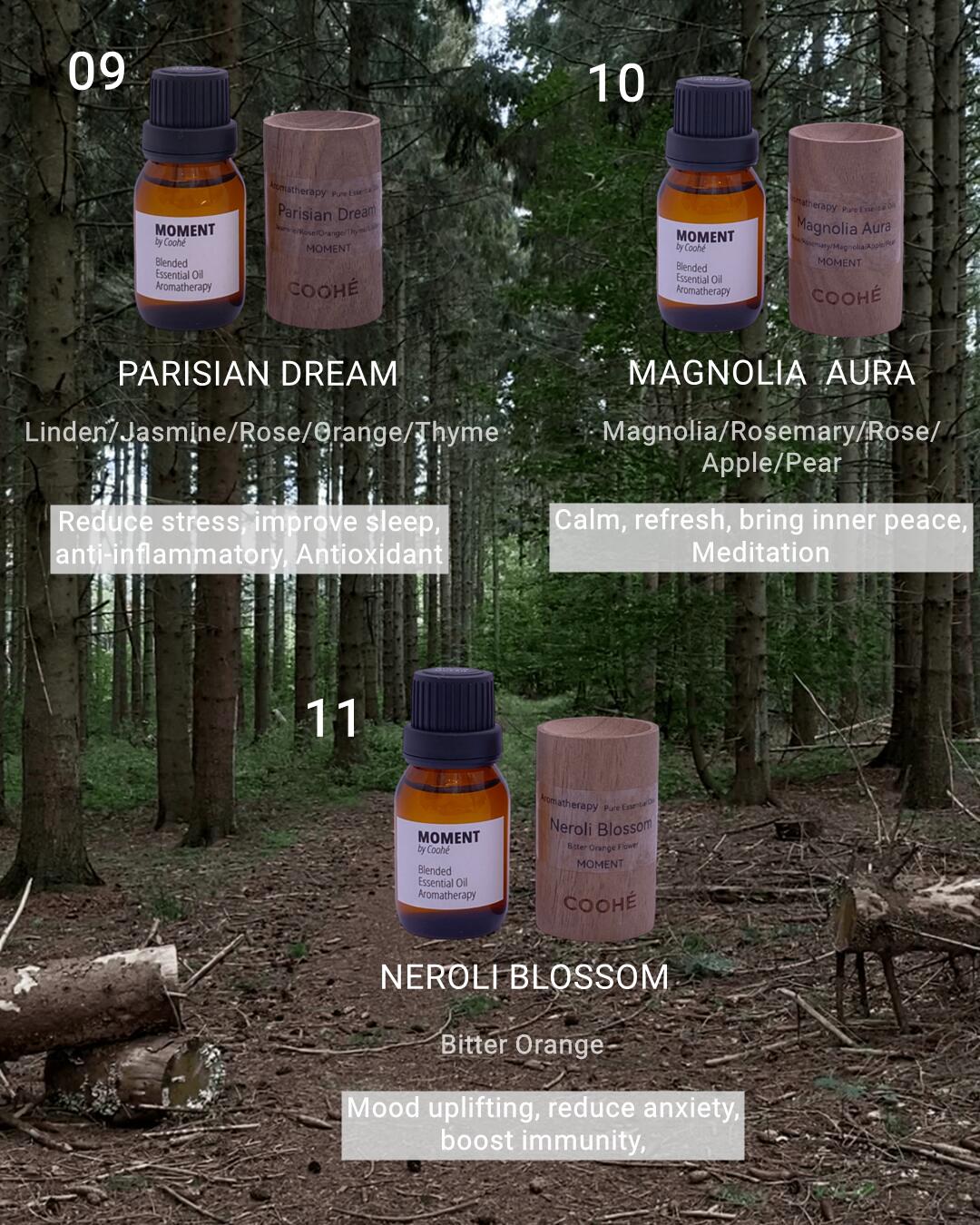Hand-Made Galaxy Mist Aroma diffuser