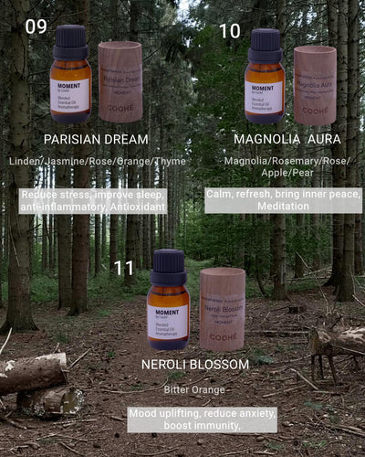 Hand-Made Galaxy Mist Aroma diffuser