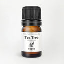 24 Essential Oils