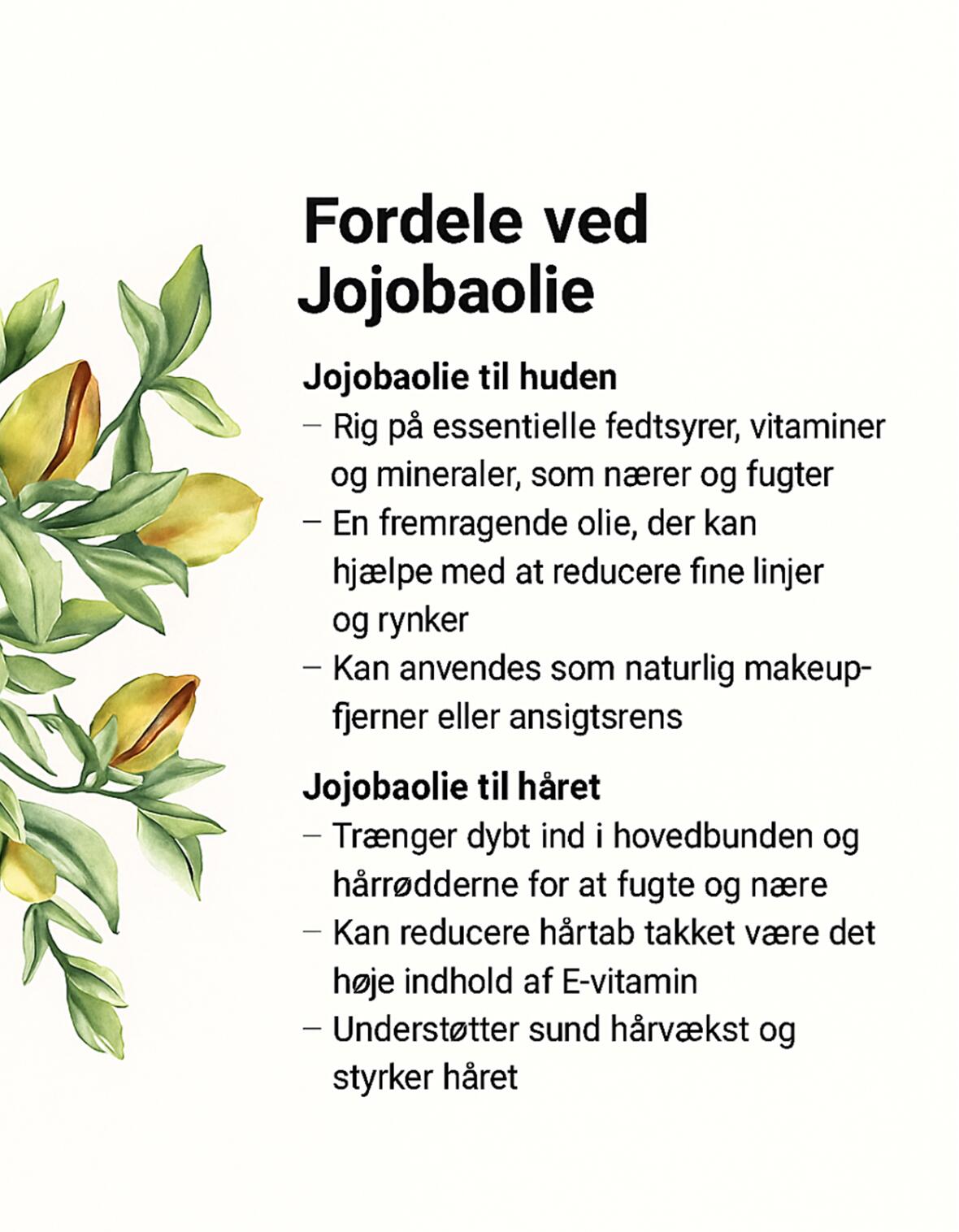 Jojobaolie